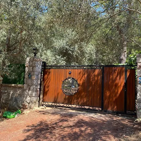 Orman Evi Felicita House