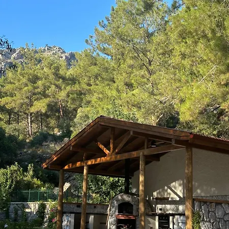 بيت خشبي Felicita House *