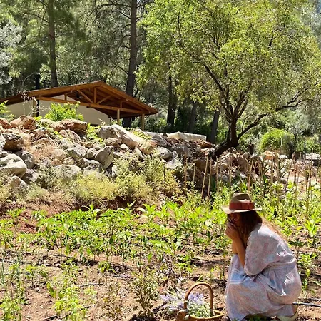 بيت خشبي Felicita House مرمريس