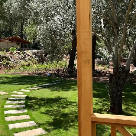 بيت خشبي Felicita House *