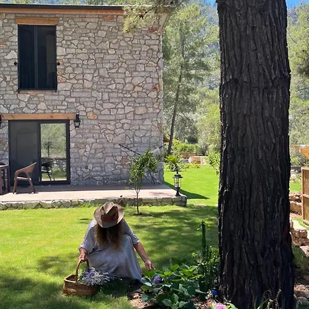 بيت خشبي Felicita House مرمريس