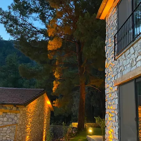 Felicita House Cabană